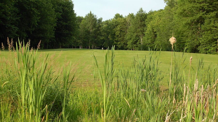 Heritage GC