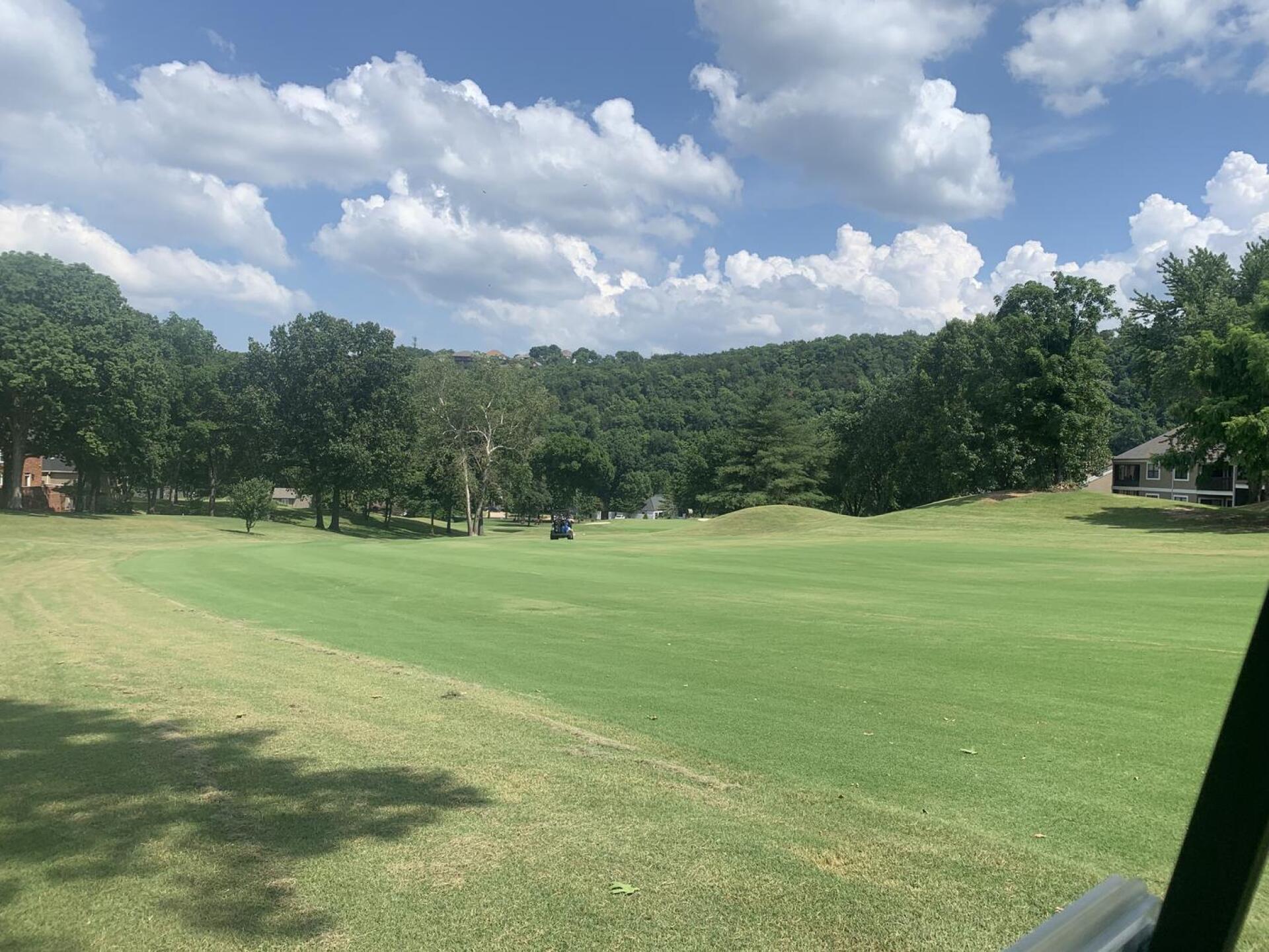 (Photo submitted by kh7382 on 07/03/2022)