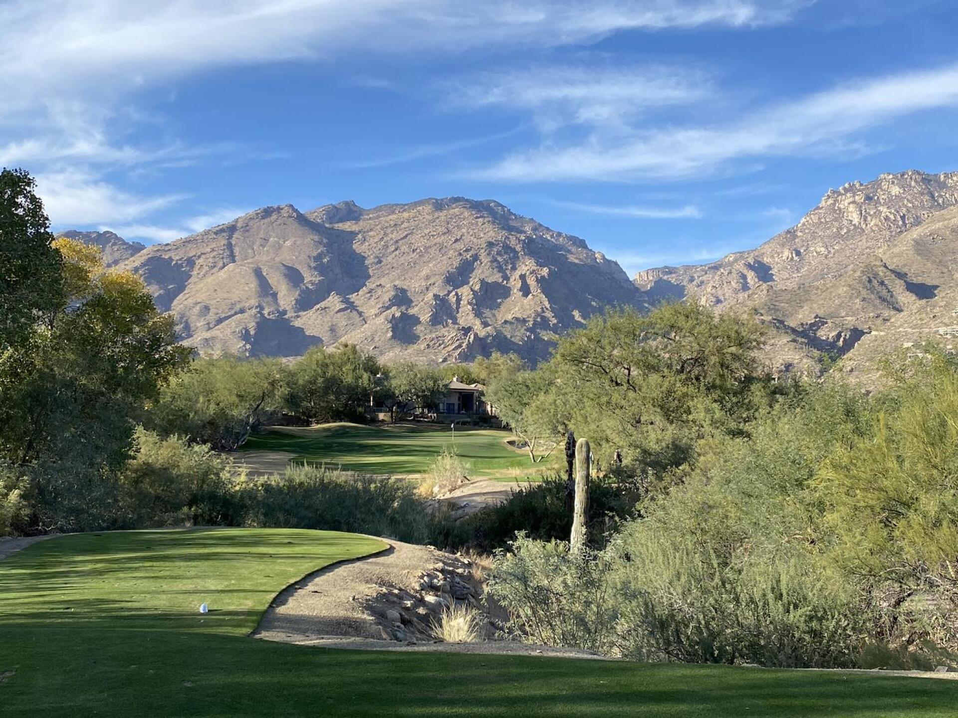 (Photo submitted by Gabby12jack on 12/08/2020)