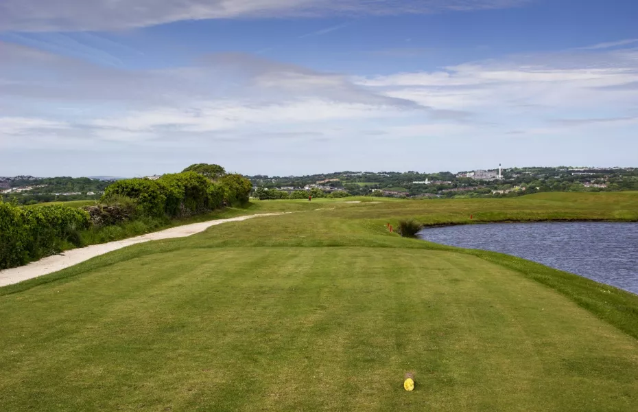 Boringdon Park GC - Estuary