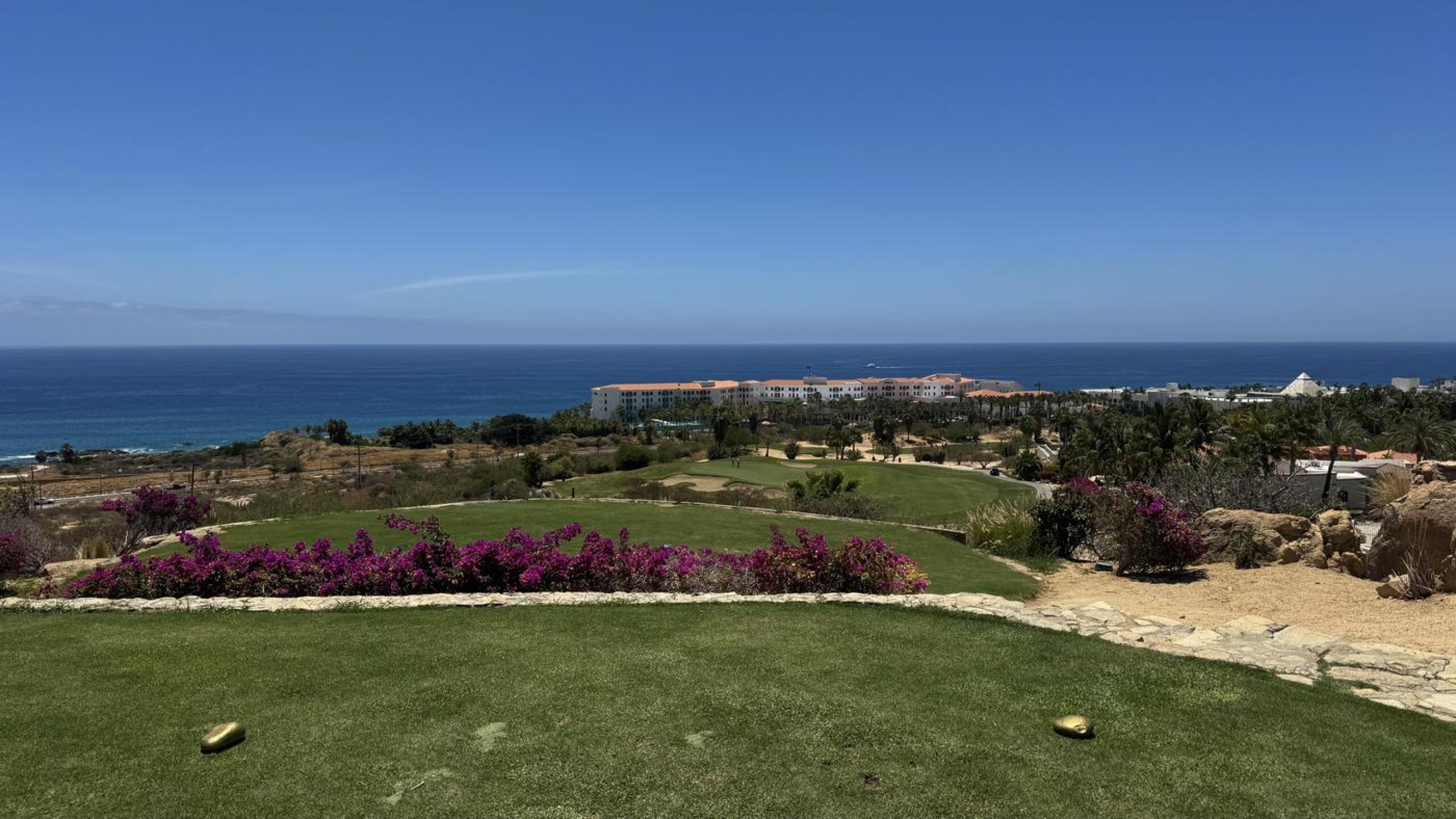 (Photo submitted by sjmartin13 on 04/18/2026)