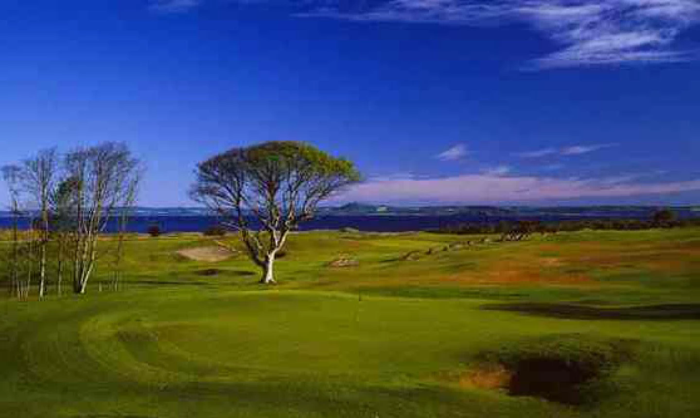 Tom Doak's Renaissance Club