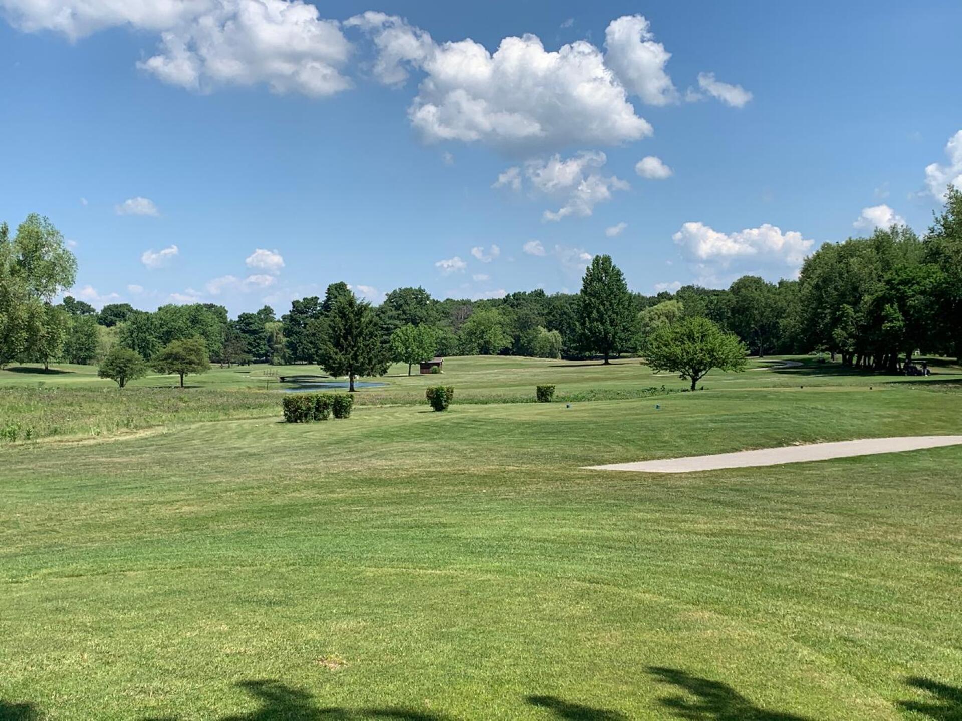 (Photo submitted by Jason1941881 on 07/02/2020)