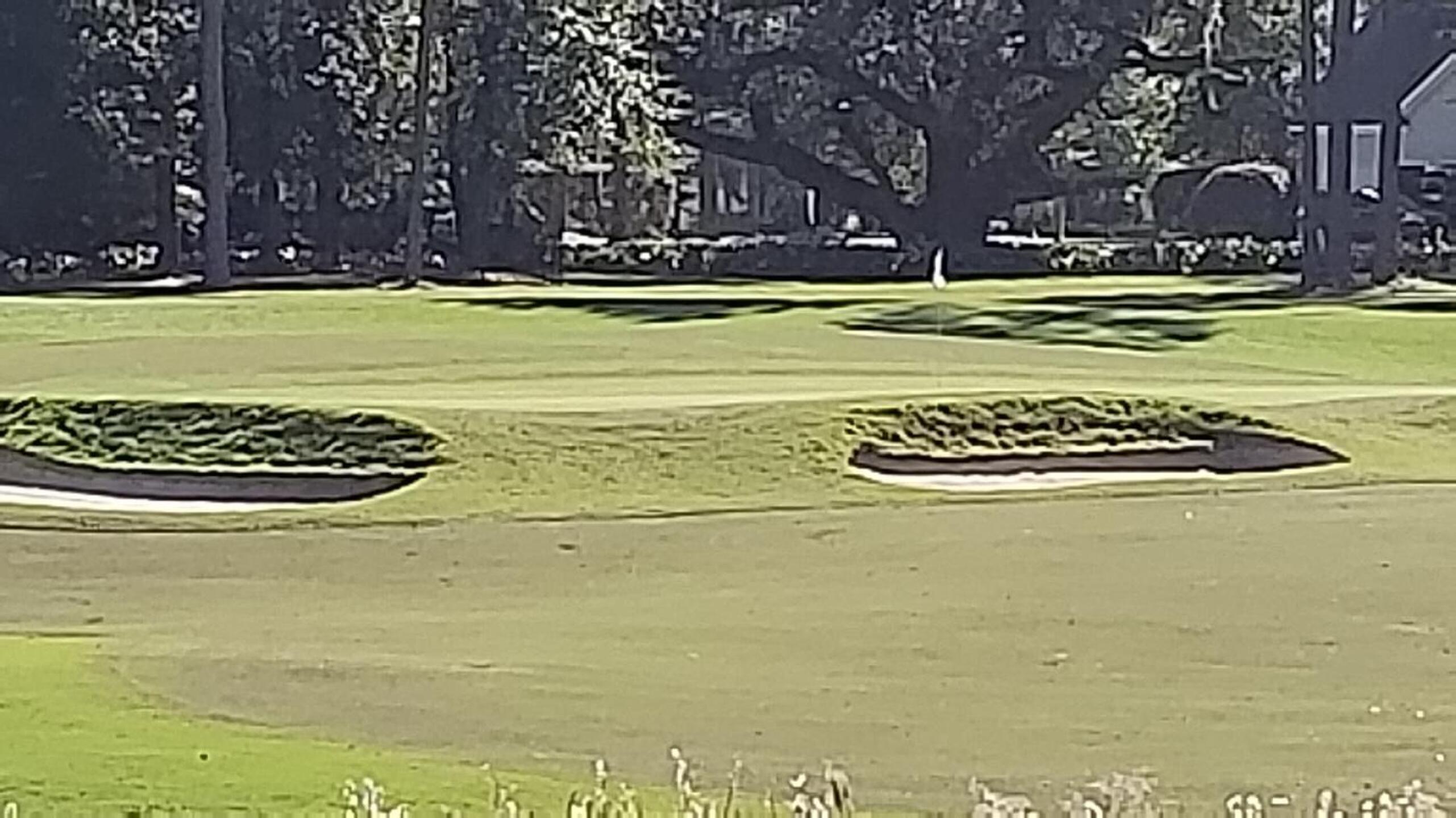 Perfect Manicured Conditions (Photo submitted by youraway2 on 11/19/2018)