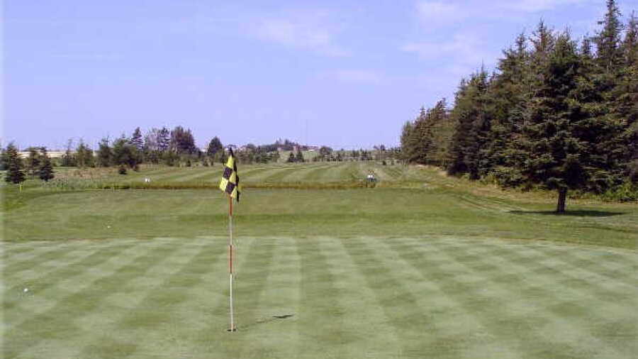Rollo Bay Greens: #5
