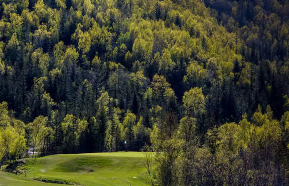 Bodo Golf Park - Salten GC: #12