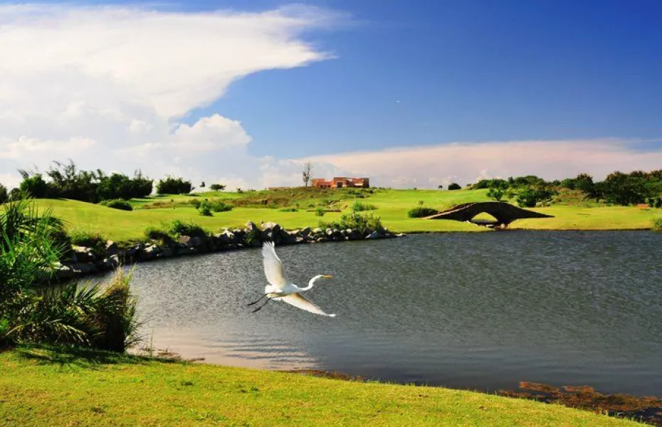 Vipingo Ridge - Baobab