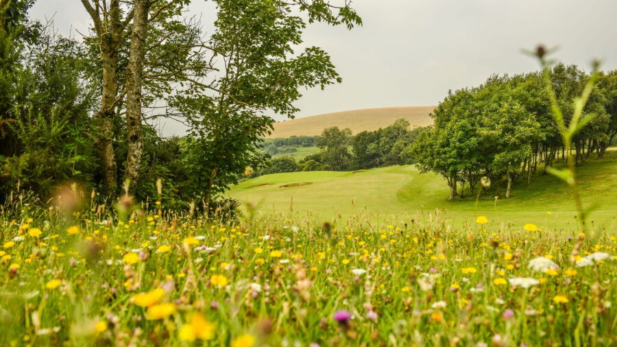Pyecombe GC