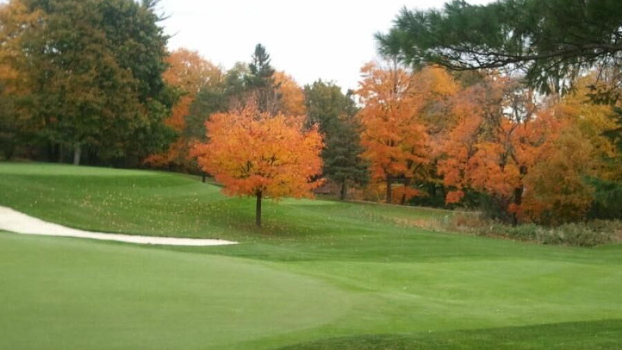 Thornhill GCC