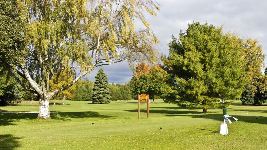 Old Channel Trail GC - Meadow: #7