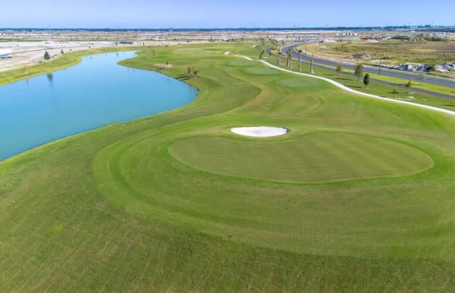 Beautyberry at The Villages Executive Golf Trail