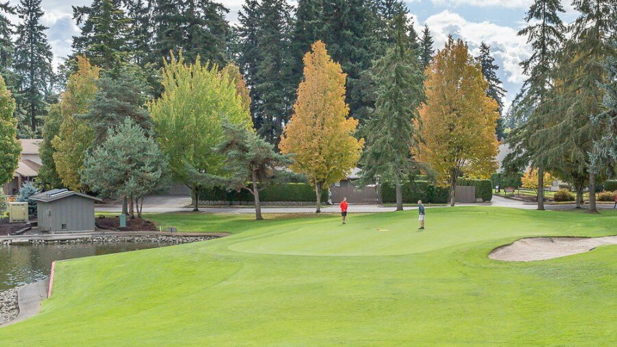 Summerfield GCC