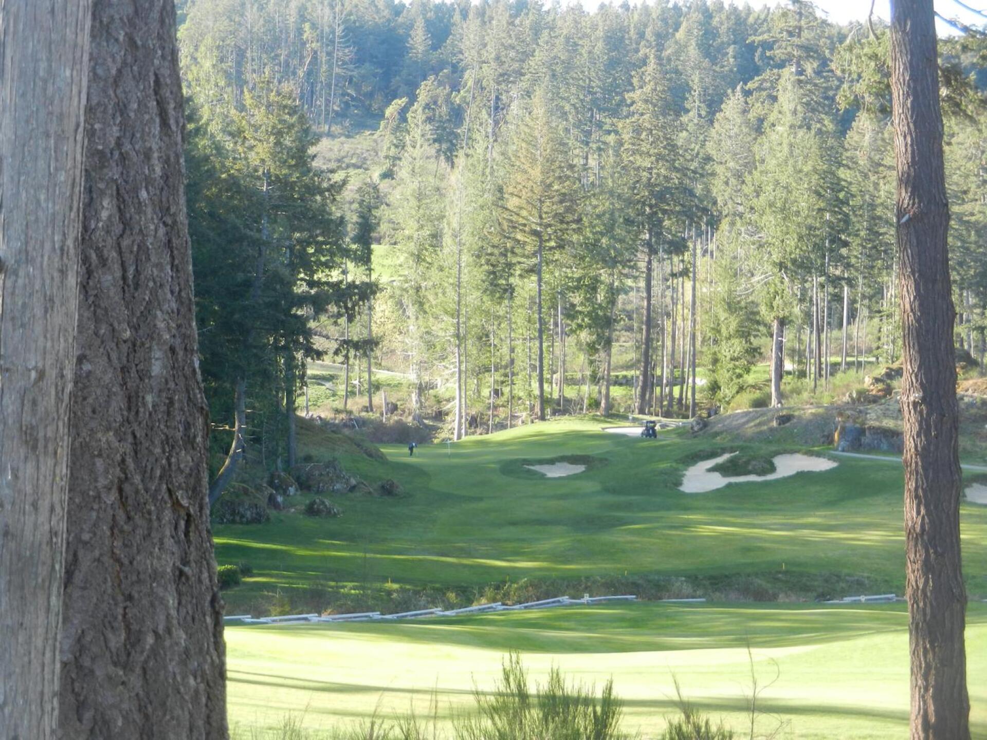 (Photo submitted by huiesean on 04/04/2016)