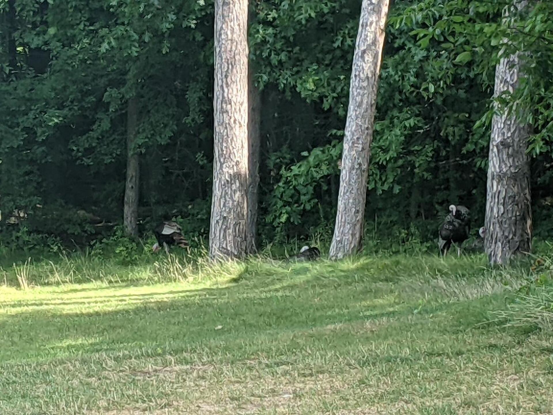 (Photo submitted by u000004183782 on 08/30/2021)