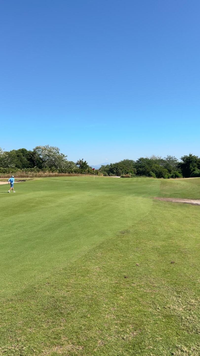 (Photo submitted by Douce2611 on 11/16/2025)