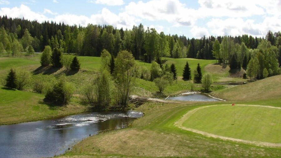 Bjurholms GC: #14