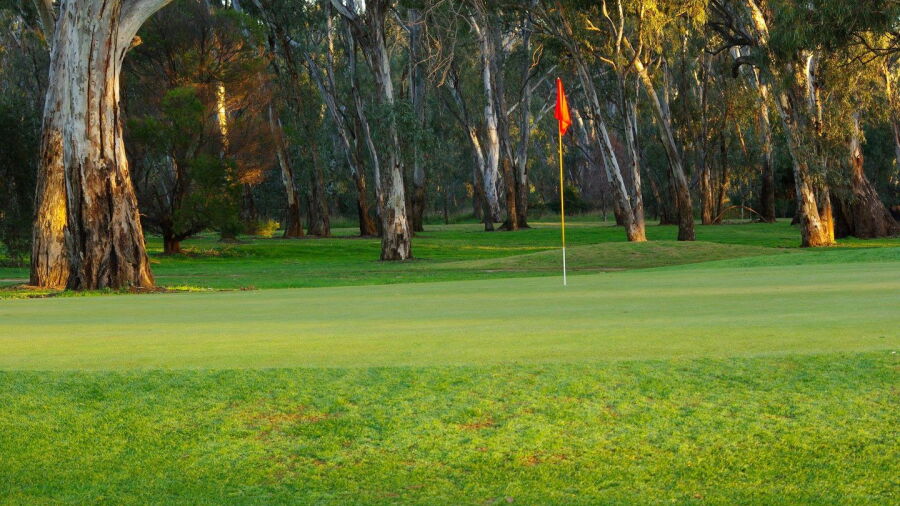 Benalla GC