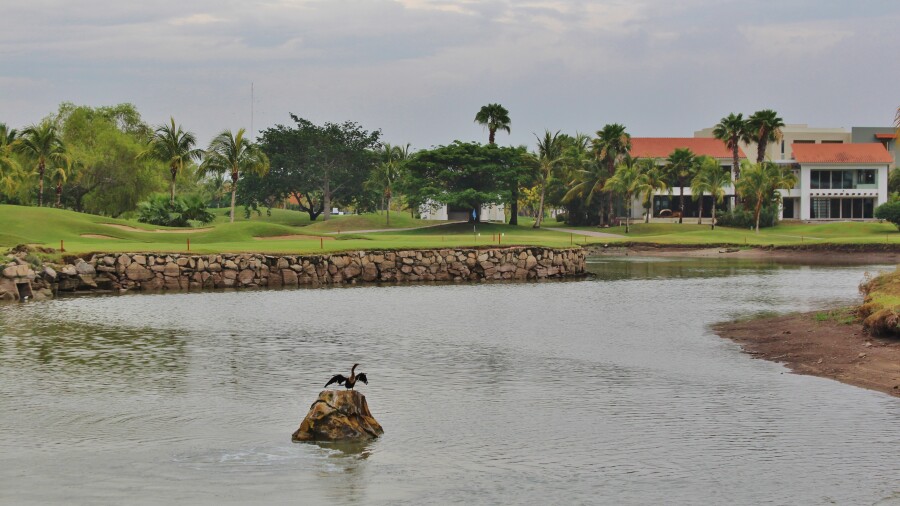 El Tigre Golf Club at Paradise Village Resort - 9th