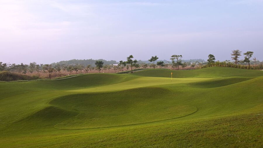 Twin Doves GC - Sole