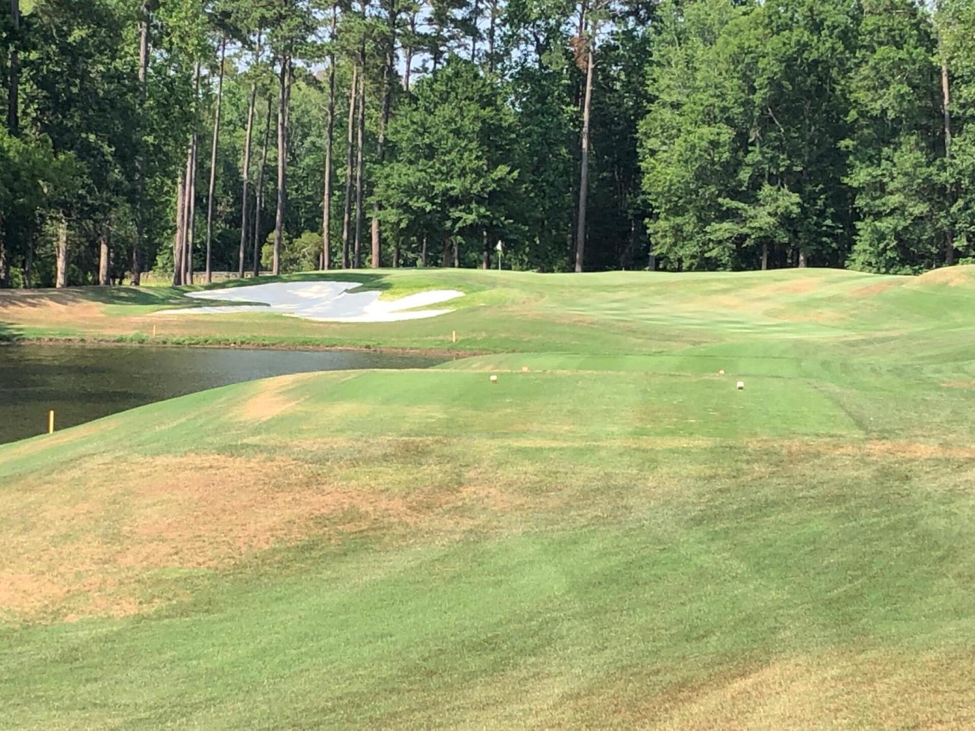 (Photo submitted by BryanTweed16 on 06/05/2019)