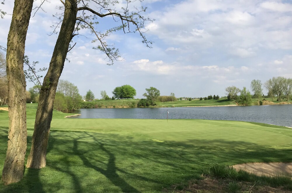 Mistwood Golf Club - no. 14