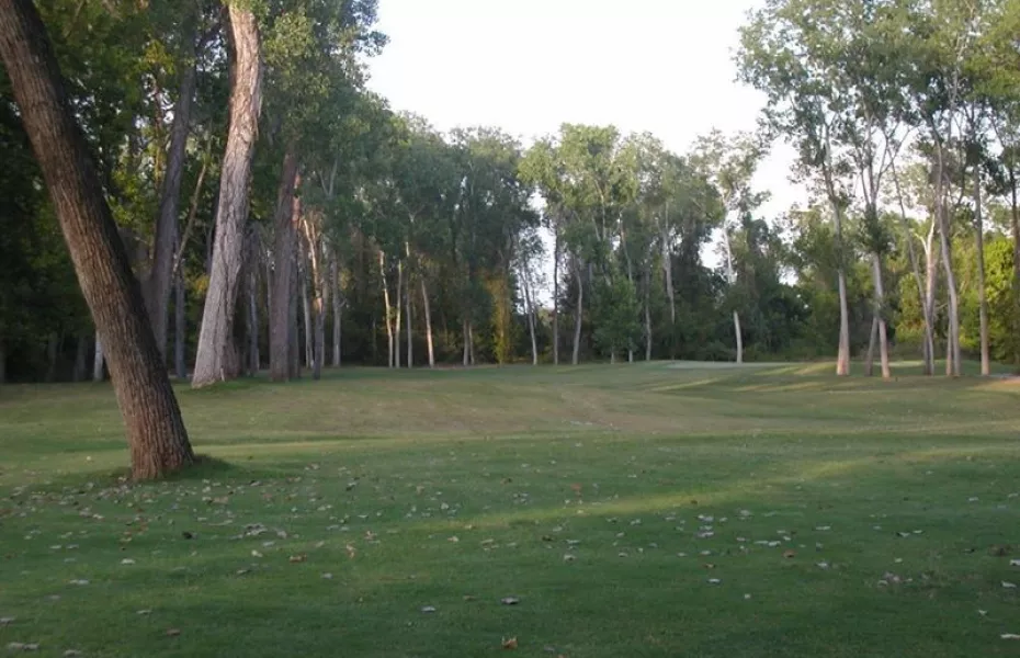 Stephen F. Austin GC