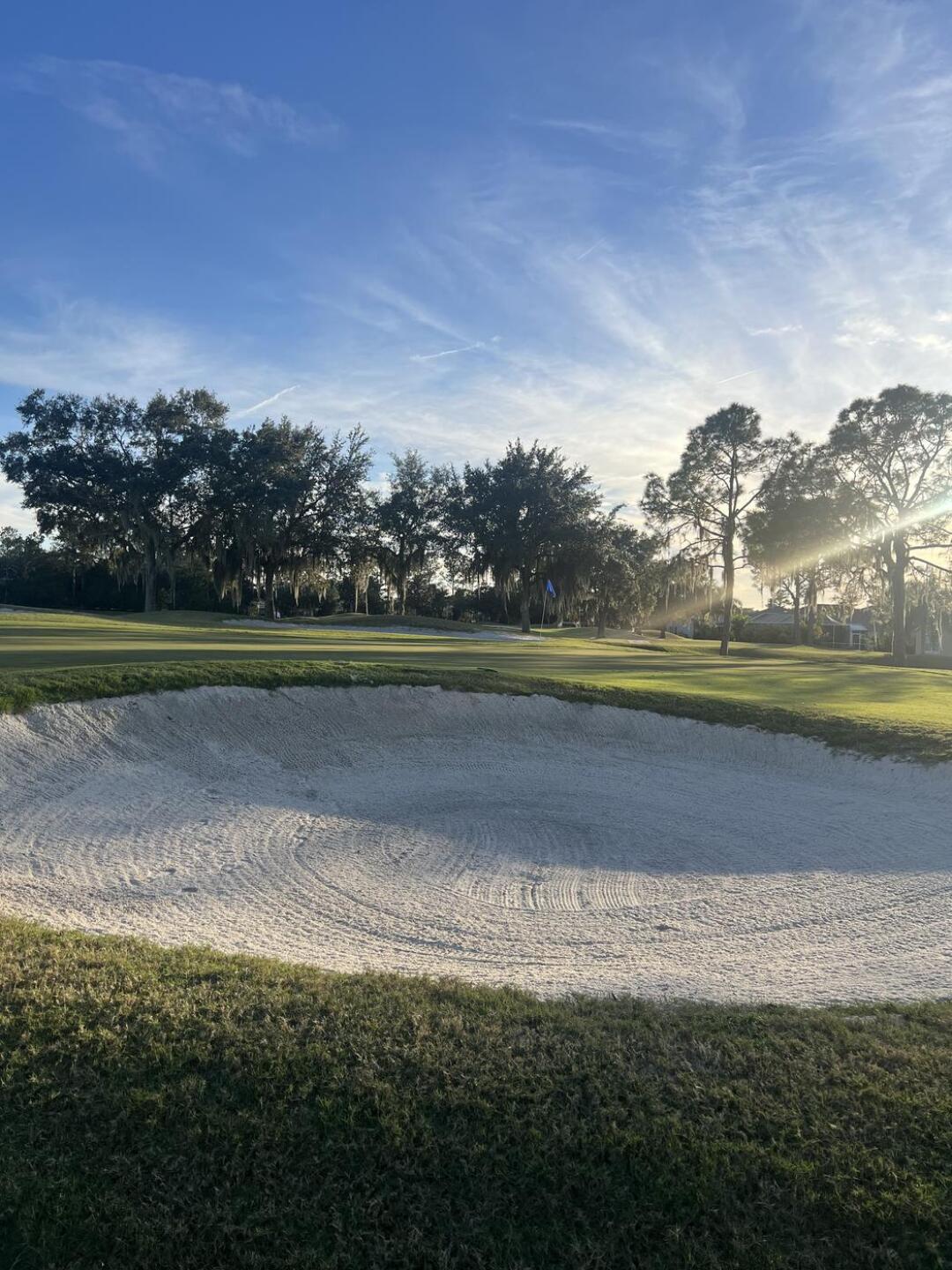 (Photo submitted by 2dnV7Yn31ZIDSoRd563v on 12/07/2023)