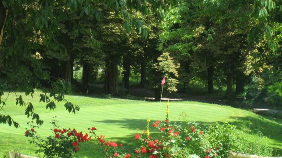 Vievola GC