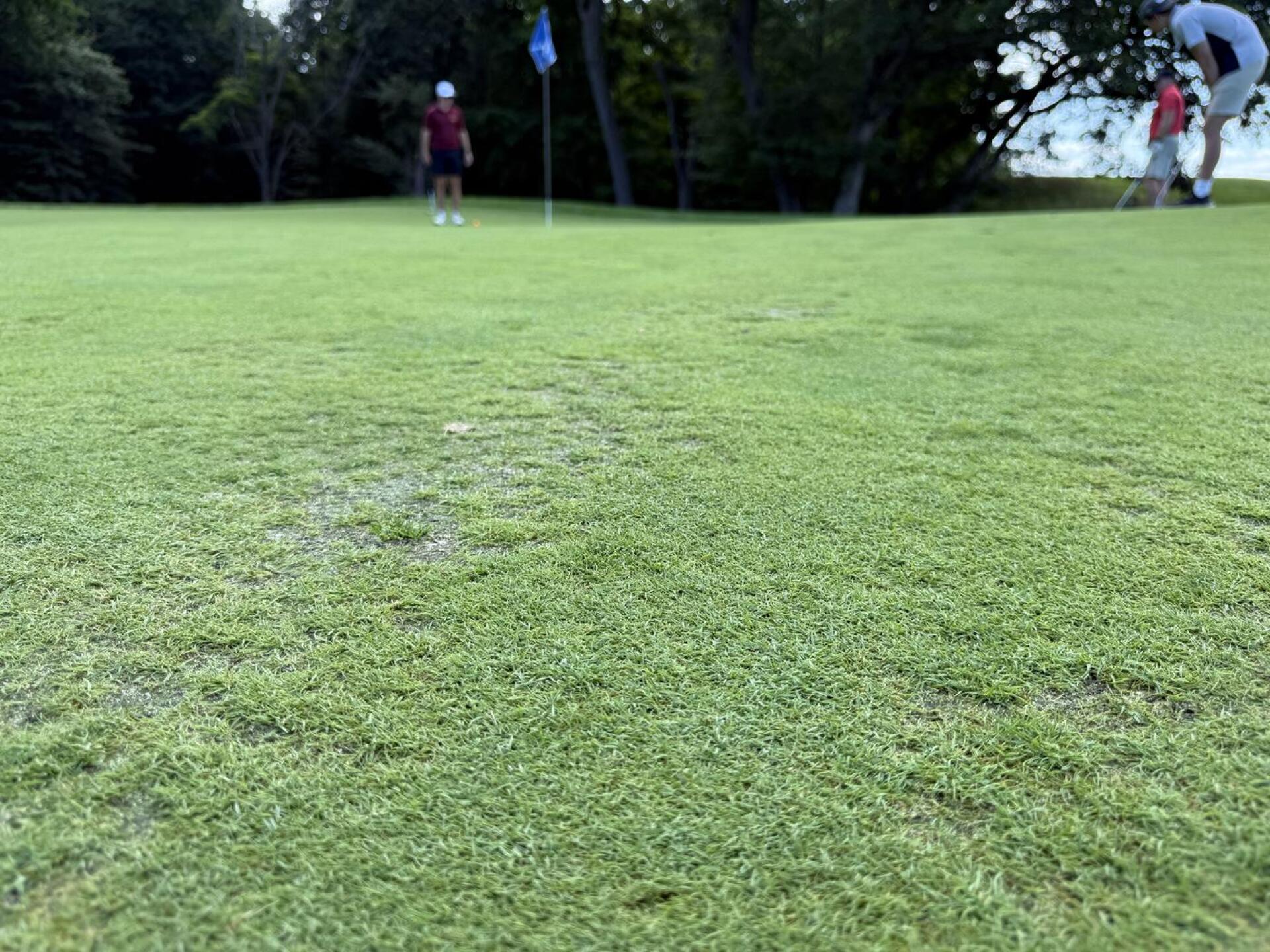 (Photo submitted by ChristianMorel on 07/27/2025)