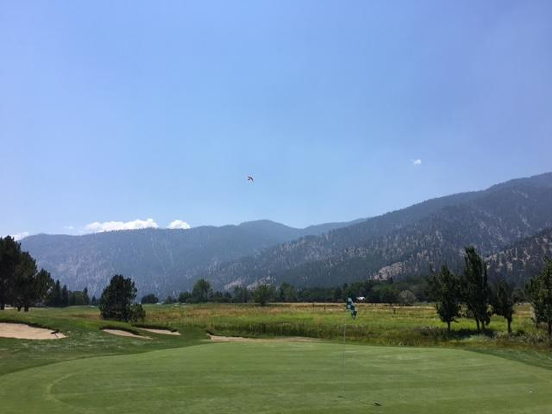 Greens were well maintained (Photo submitted by copz1998 on 08/01/2017)