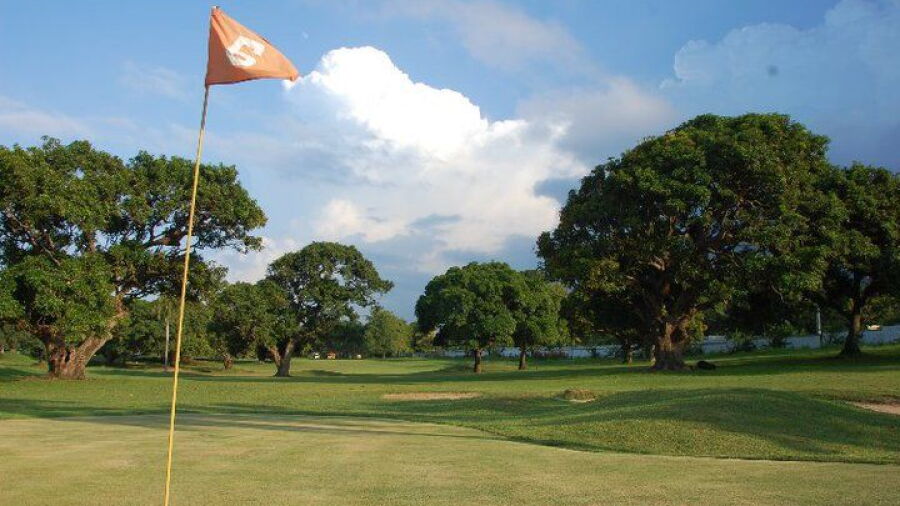 Los Mangos GC: #6