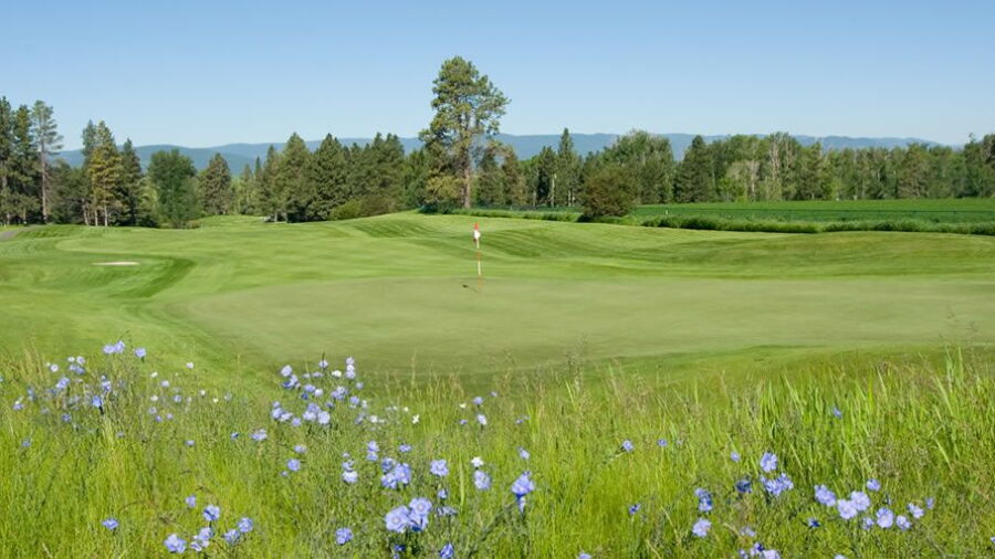 Northern Pines GC: #16