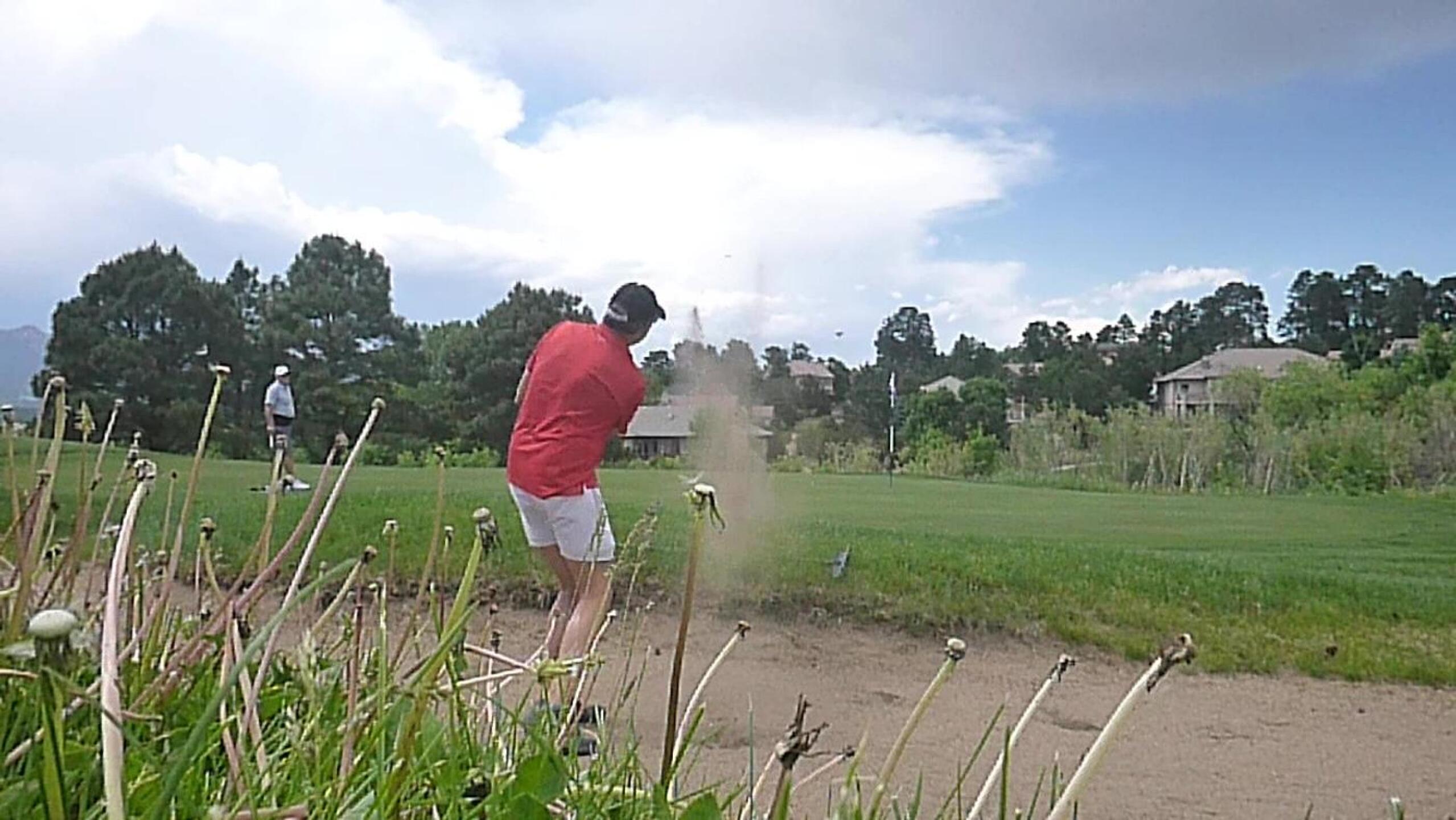 (Photo submitted by DiamondAces on 06/13/2024)