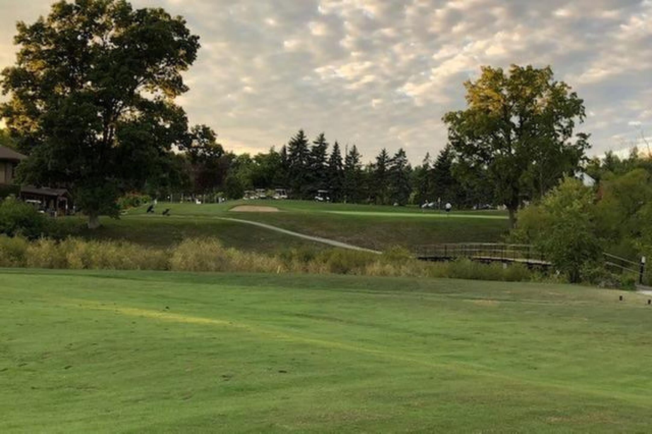 Home hole (Photo submitted by mingay on 09/07/2020)