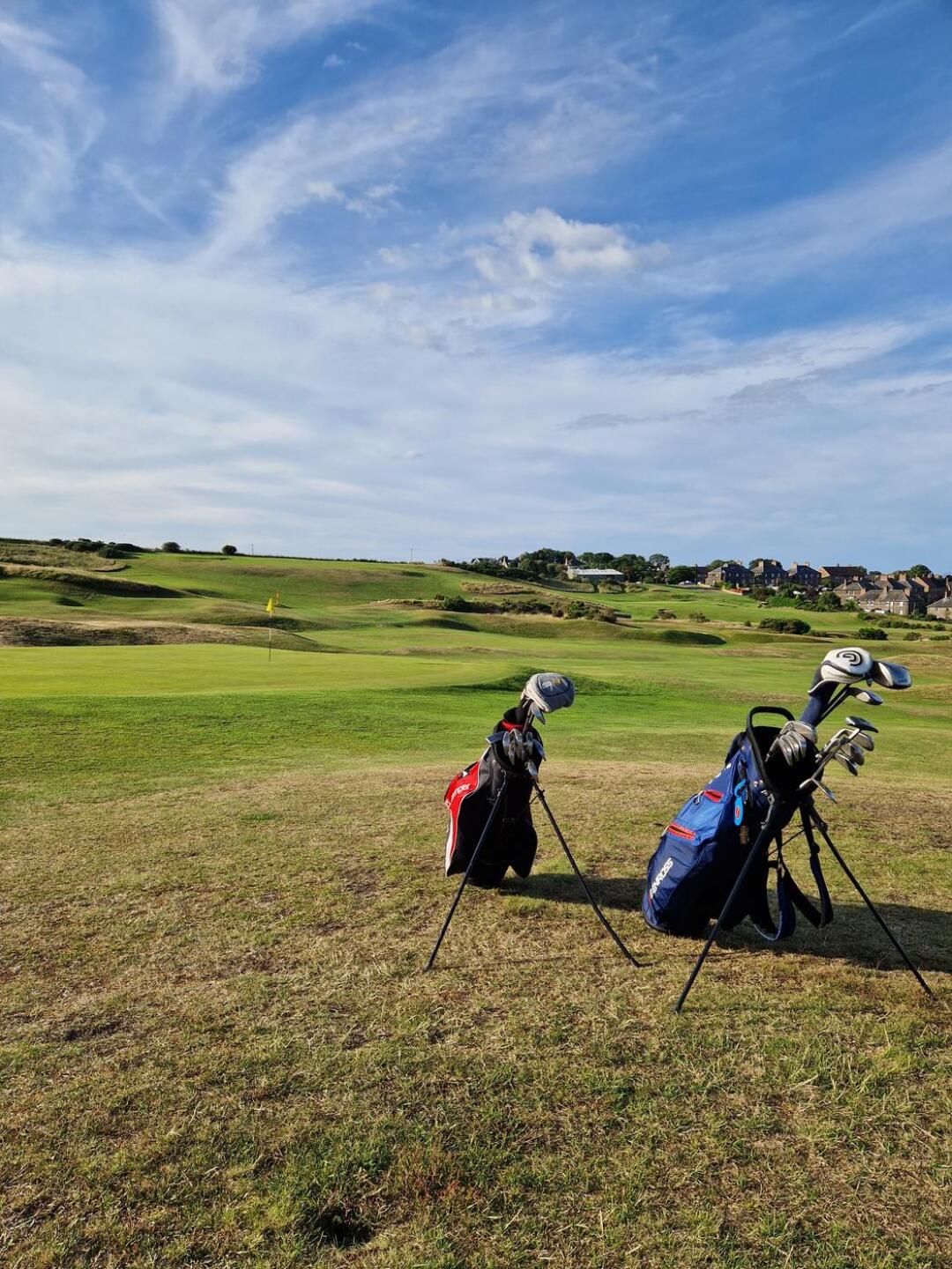 (Photo submitted by u314164255384 on 07/12/2023)