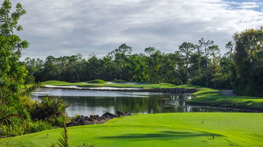 Grey Oaks CC - Pine