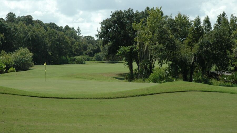 Westchase GC: #17