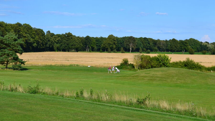 Degeberga Widtskofle GC - Short