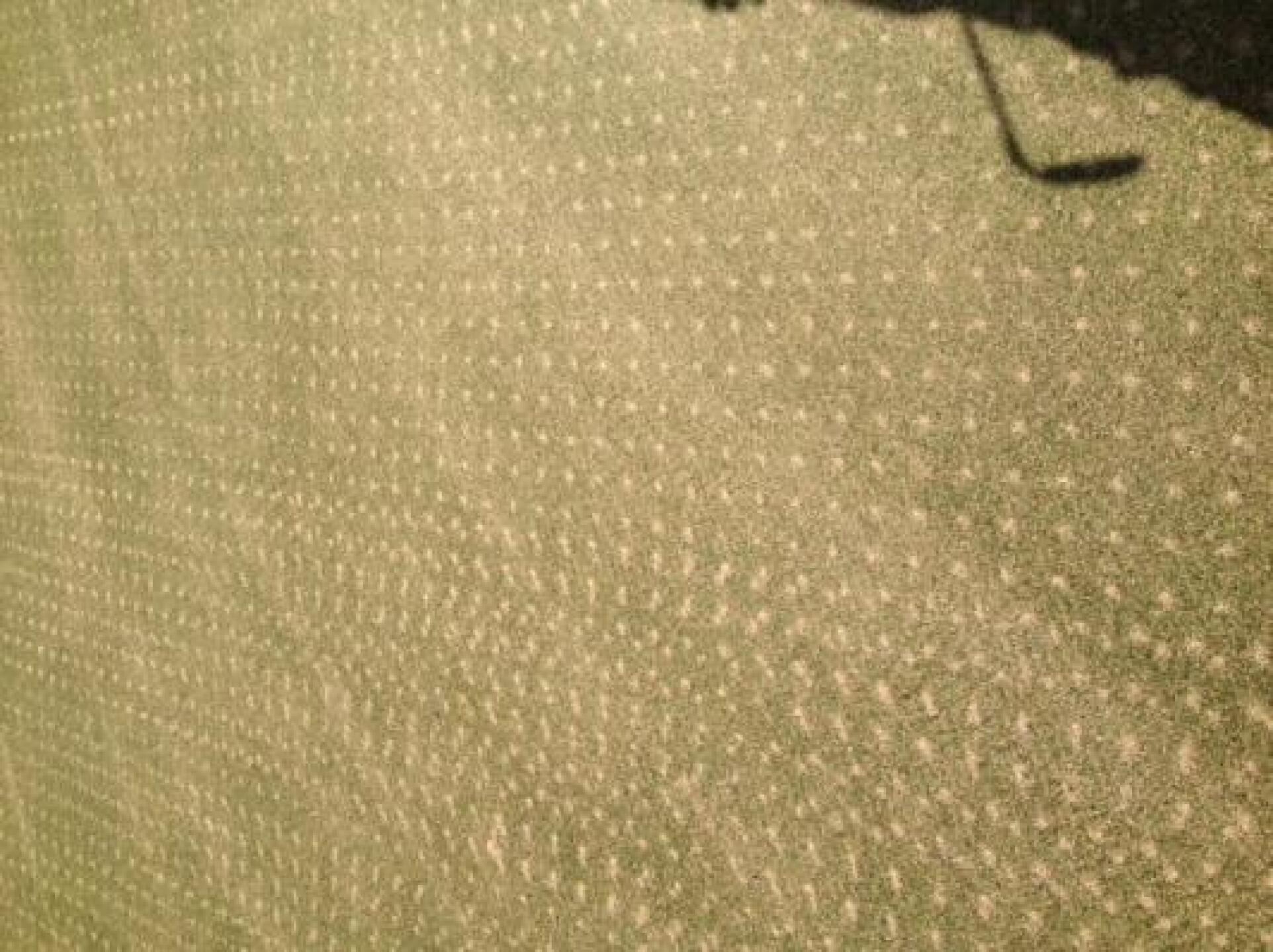 (Photo submitted by u944877224 on 09/18/2014)