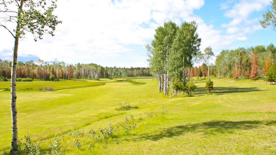 Tin Cup Greens GC