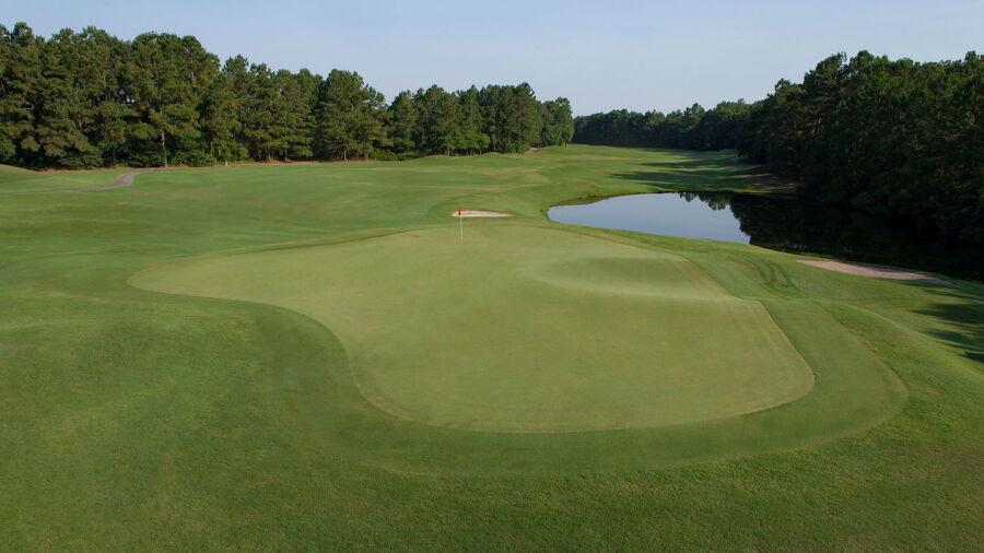 Wild Wing Plantation - Avocet: #15