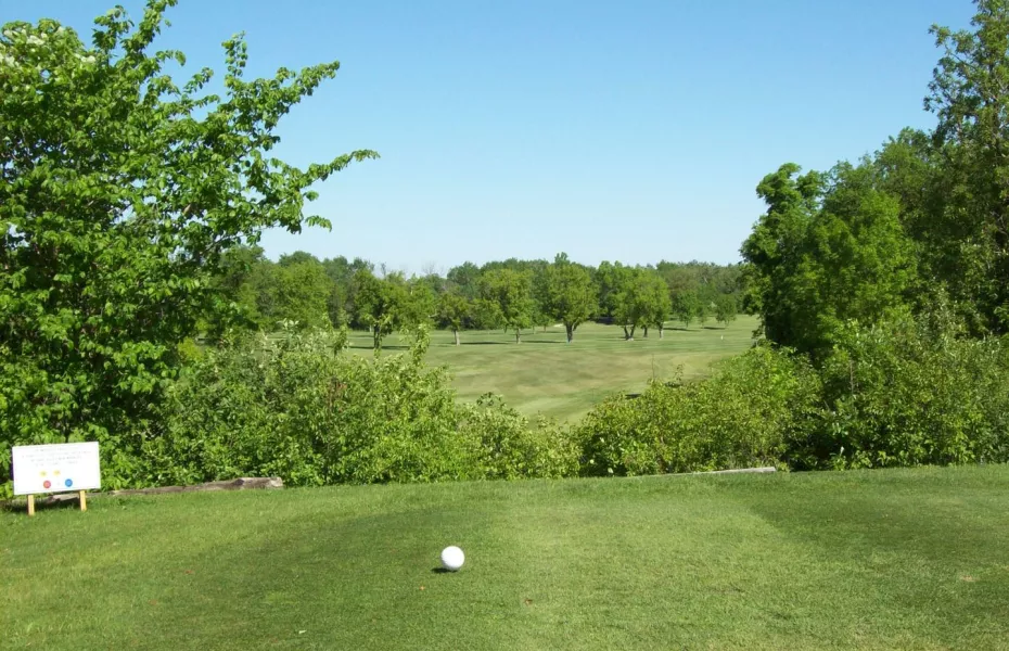 Netley Creek GCC: #1