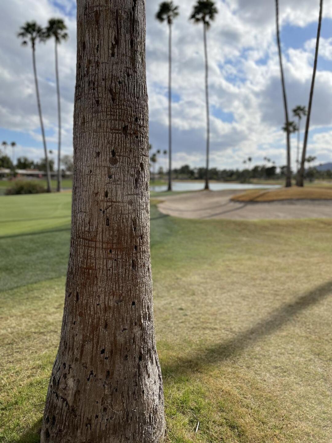 (Photo submitted by u000006010873 on 02/24/2022)