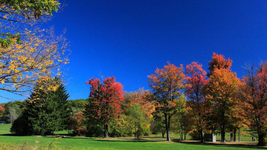 Richland Greens Golf Center