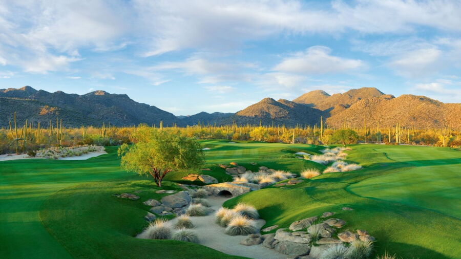 Gallery GC - South GC: #10