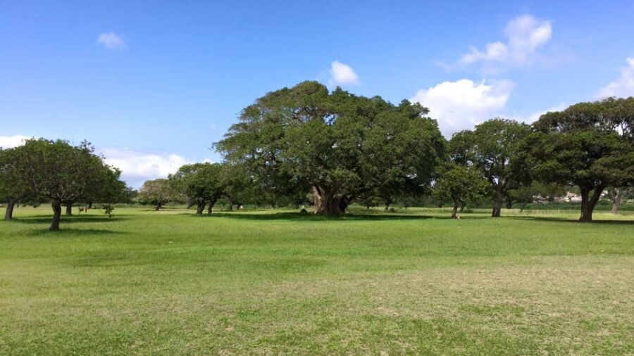 Maputo GC
