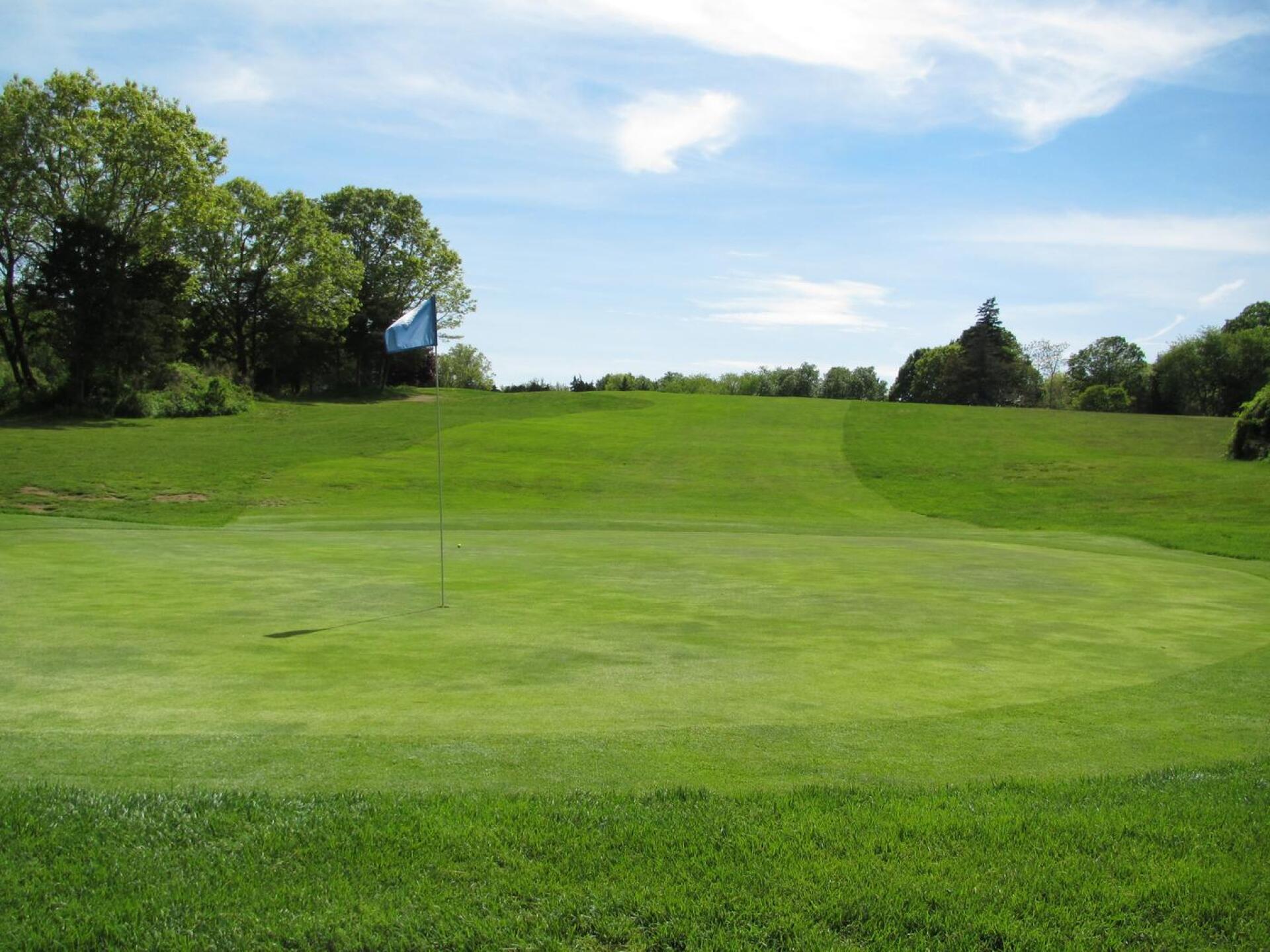 Eight: From behind green at great tee-to green classic. A tiny green for a 150-170 yard blind, downhill approach; it also big bunker right and substantial fall-offs on its perimeter. (Photo submitted by AptlyLinked on 05/29/2020)