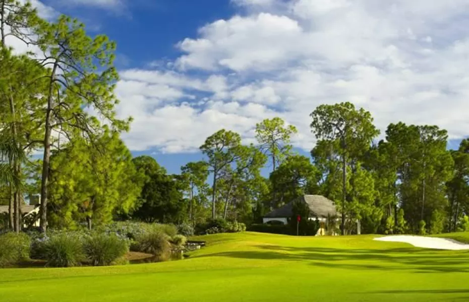 Fiddlesticks CC - Wee Friendly