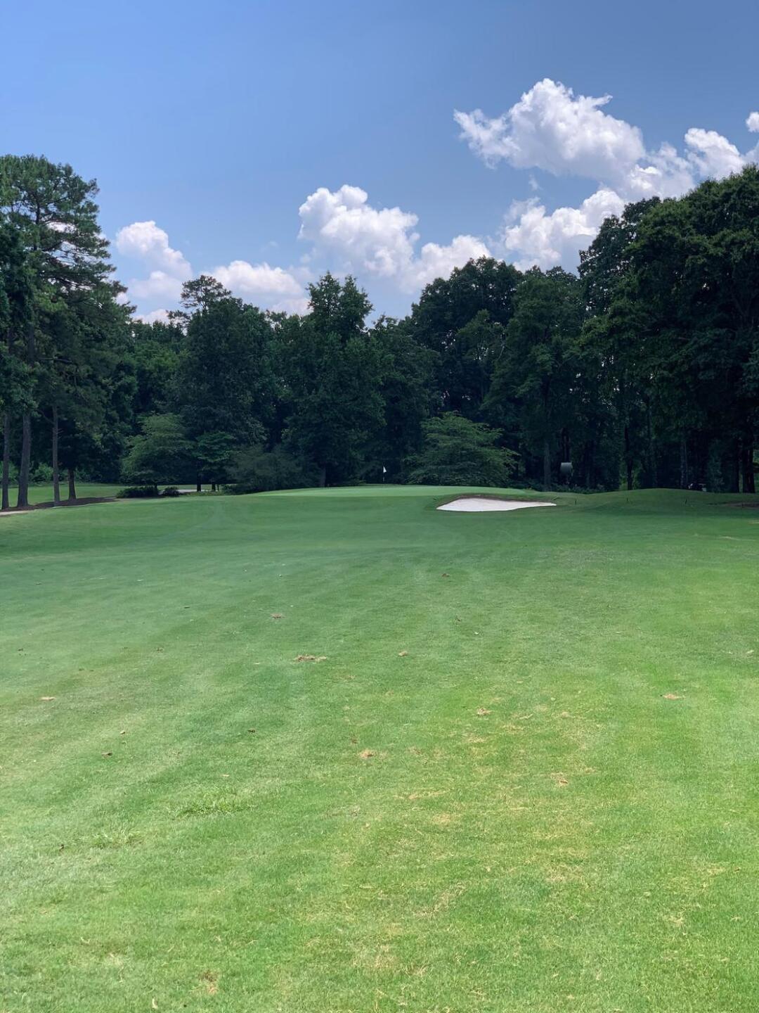 (Photo submitted by kennymay21 on 07/06/2020)