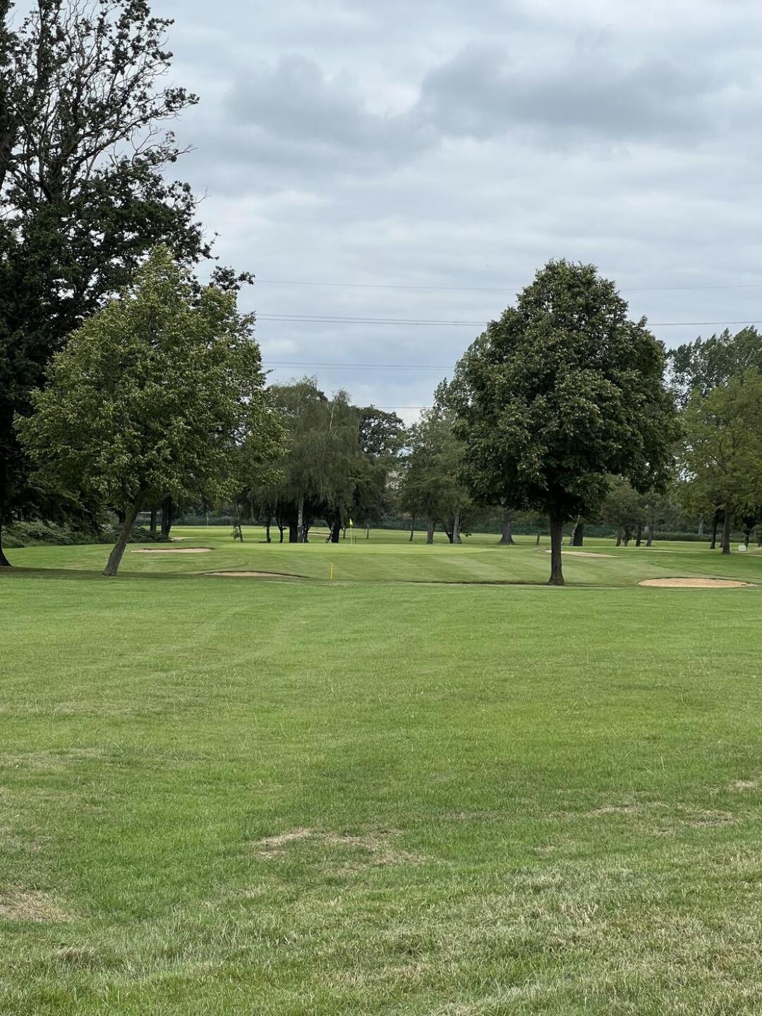 (Photo submitted by t249367127 on 08/06/2023)